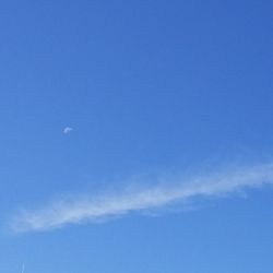 Low angle view of moon in sky