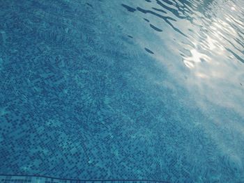 High angle view of swimming pool