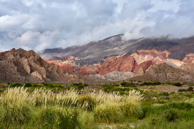 Scenic view of landscape and mountains against sky