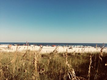 Scenic view of beach