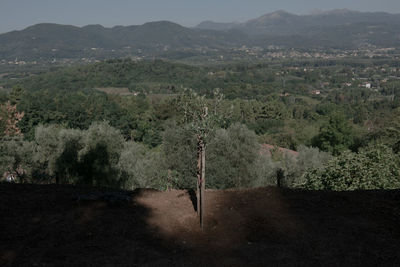 Scenic view of landscape