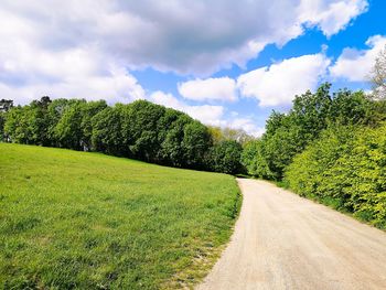 Scenic view of road amidst trees against sky