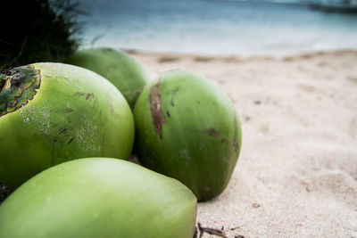 Close-up of fruits on beach