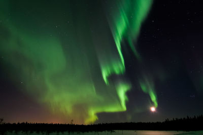 Low angle view of sky at night