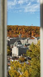 Trees and houses against sky during autumn