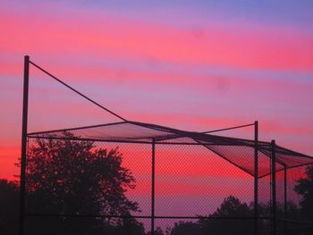 Close-up of trees by chainlinked fence during sunset