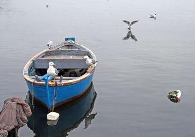 Old wooden boat anchored with seagulls on the very calm water and background