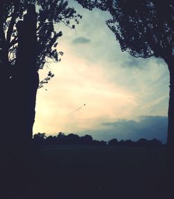 Low angle view of silhouette trees against sky at sunset