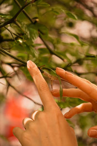 Close-up of hand