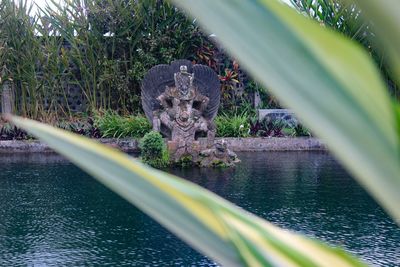 View of turtle in lake