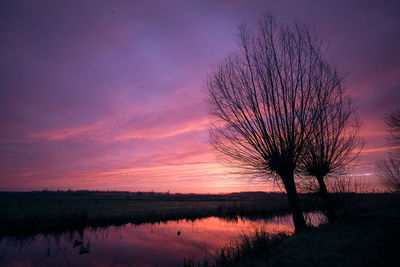 Silhouette tree by lake against romantic sky at sunset