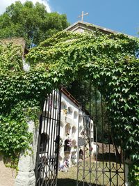 House by trees against sky