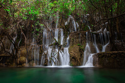 Scenic view of waterfall in forest