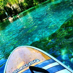 Reflection of trees in water