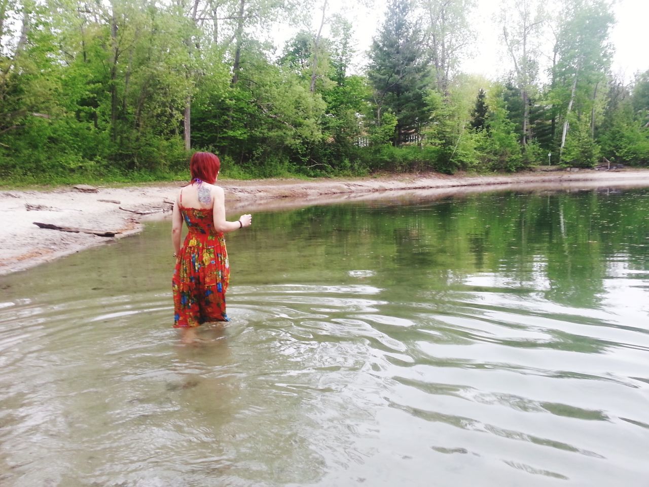 water, tree, lake, waterfront, nature, tranquility, day, rippled, reflection, green color, outdoors, river, forest, wood - material, beauty in nature, growth, no people, red, tranquil scene, pond