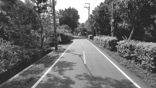 Road amidst trees against sky