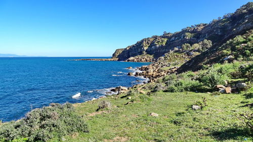 Scenic view of sea against clear blue sky