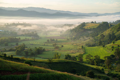 Scenic view of agricultural field against sky