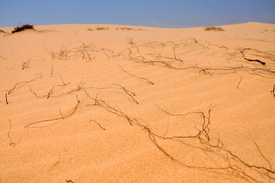 View of sand dunes against sky