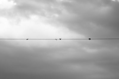 Low angle view of birds perching on cable against sky