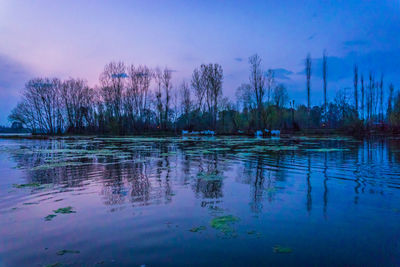 Reflection of trees in lake against sky