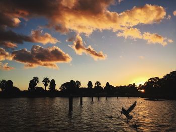 Silhouette trees against sky during sunset