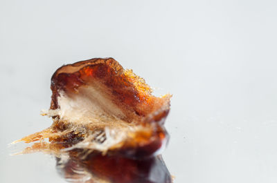 Close-up of bread against white background