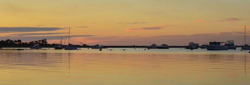 Sailboats in marina at sunset