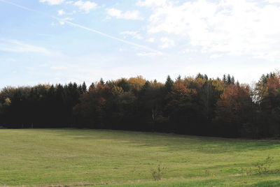 Trees on field against sky