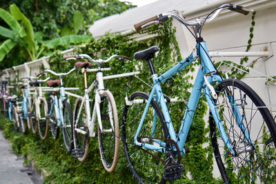bicycle