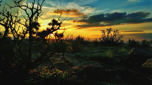 Sunset over landscape