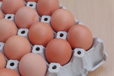 High angle view of eggs in container