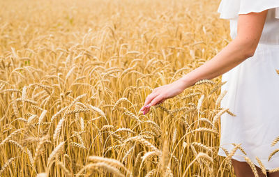Midsection of woman in wheat field
