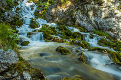 Scenic view of waterfall