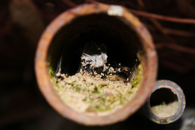 High angle view of drink in container