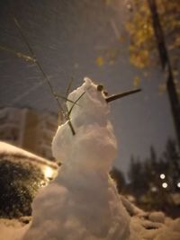 Close-up of snow on tree against sky