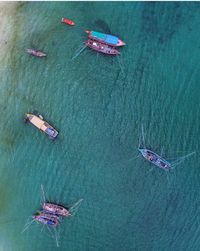 Directly above view of fishing boats in sea