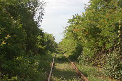 Scenic view of green landscape against sky