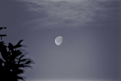 Low angle view of moon in sky at night