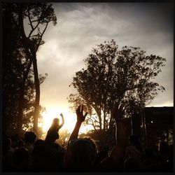 Silhouette of trees at sunset