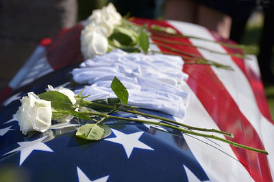Close-up of white flowers on paper plant