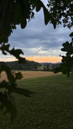 nature
