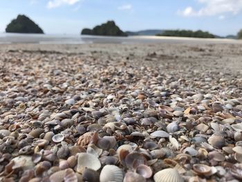 Surface level of stones on beach against sky