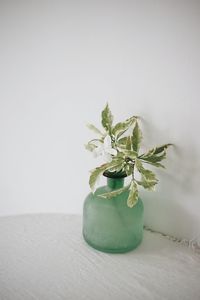 Close-up of vase against white background