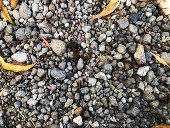 High angle view of stones