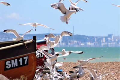 Seagulls flying over sea against sky