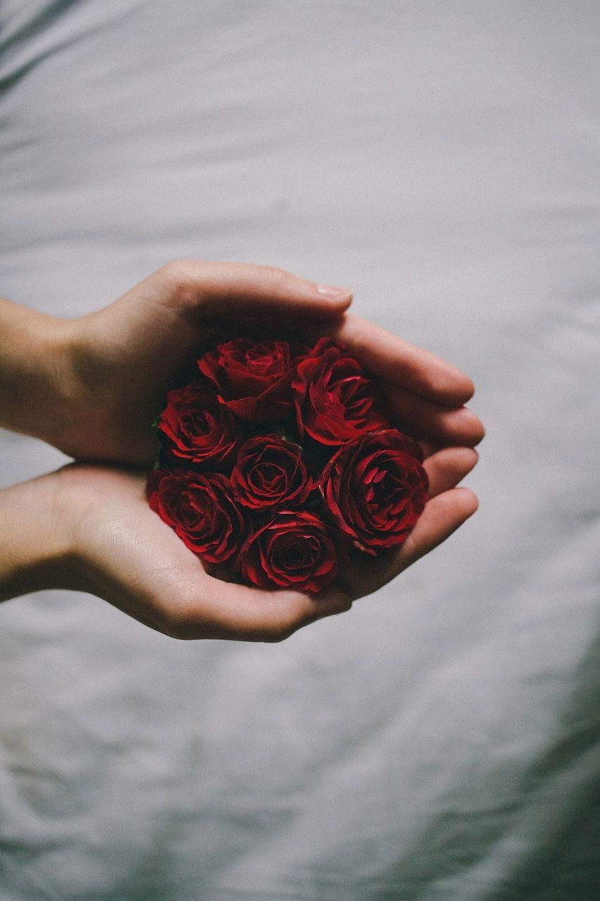 flower, rose - flower, human hand, red, one person, human body part, bouquet, love, nature, petal, holding, beauty in nature, fragility, real people, flower head, close-up, women, freshness, gift, outdoors, day, people