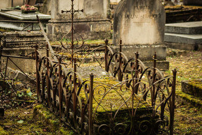 Old rusty bicycle on field by fence