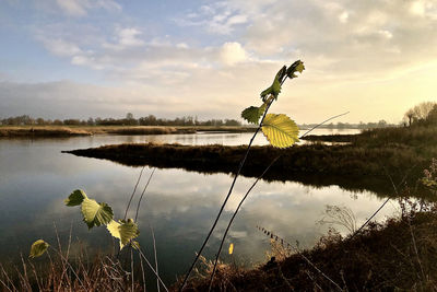 Scenic view of lake against sky