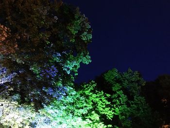 Low angle view of trees against blue sky